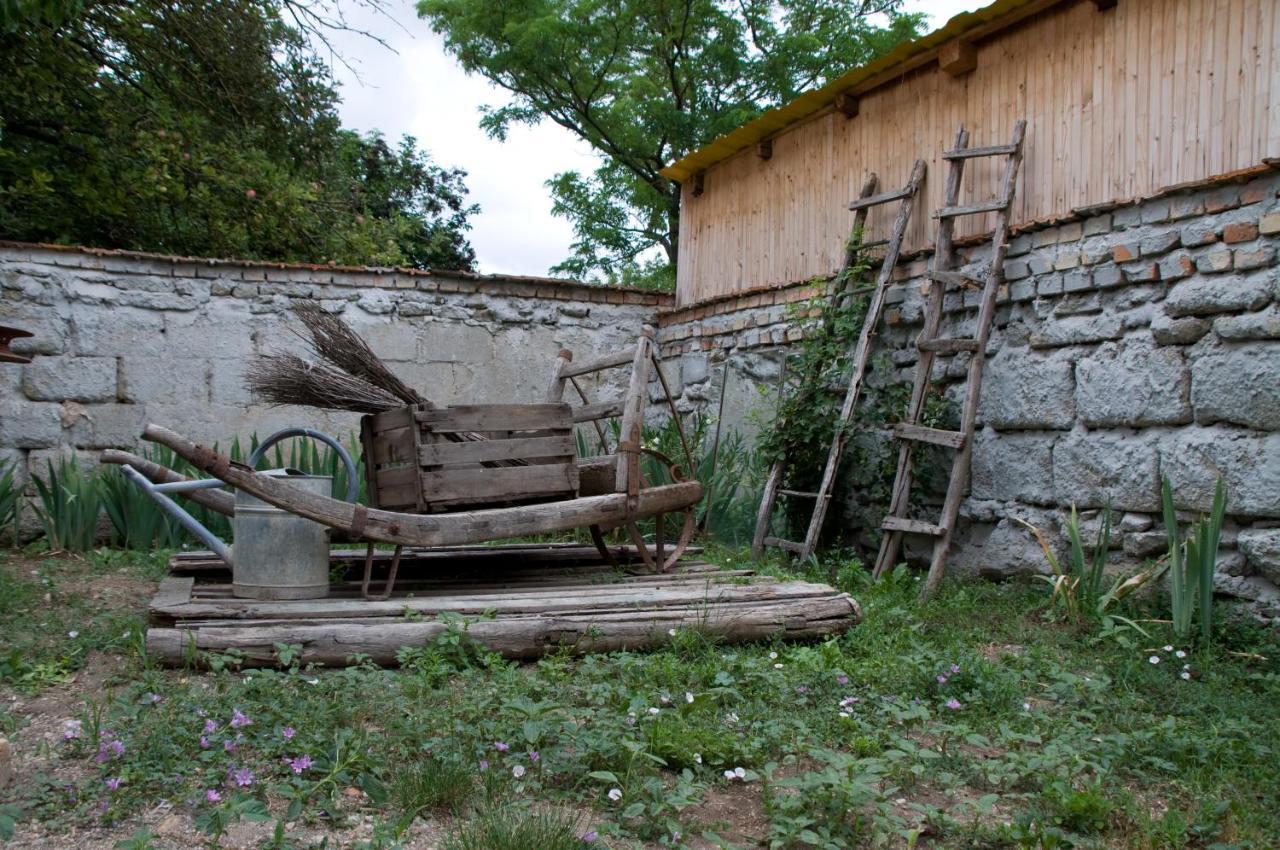 Apartamento Notas Tuecsoek Vendeghaz Agyagosszergény Exterior foto